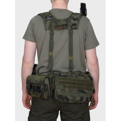 Pasoszelki Low Profile Dominator Wz.93