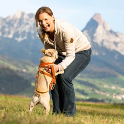 Szelki dla psa Curli Basic Air-Mesh pomarańczowe