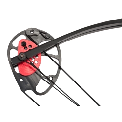 Łuk bloczkowy dla dorosłych i młodzieży Poe Lang Rex Quad 20-65 lb 28