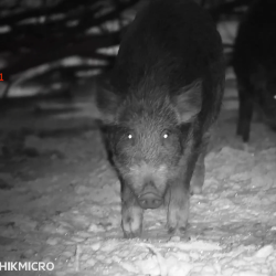 Celownik noktowizyjny noktowizor HIKMICRO by HIKVISION Alpex 4K z uchwytem pod IR