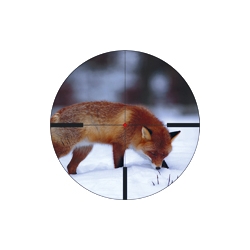 Luneta celownicza Schmidt&Bender Polar T96 2,5-10x50