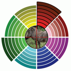 Luneta celownicza Leapers 4-16x40 1''