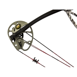 Łuk bloczkowy dla dorosłych i młodzieży Poe Lang Rex 15-55 lb 28