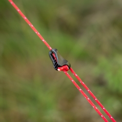 Tarp Alpinus Zagros zielony