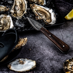 Nóż do ostryg Style de Vie