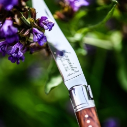 Nóż kieszonkowy Laguiole z rękojeścią z drewna różanego, z czarną pochewką i ostrzałką