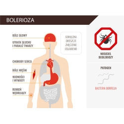 Repelent spray Mugga 9,5% DEET 75 ml