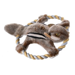 Wiewiórka treningowa