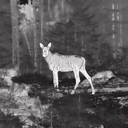 Kamera termowizyjna termowizor HIKMICRO by HIKVISION Falcon FQ50