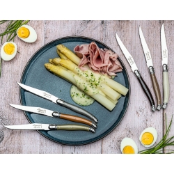 Nóż Laguiole do steków z stali nierdzewnej 6 sztuk w bloku drewnianym