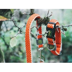 Obroża dla psa Hilo Vario Basic pomarańczowa