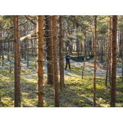Hamak Lesovik DRAKA treetop green