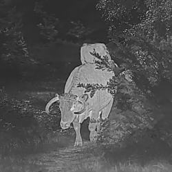 Kamera termowizyjna termowizor HIKMICRO by HIKVISION Falcon FQ50