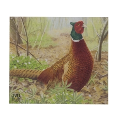 Tarcza papierowa JVD bażant 50 x 44 cm
