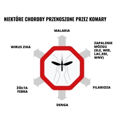 Balsam kojący Mugga na ukąszenia i poparzenia 50 ml