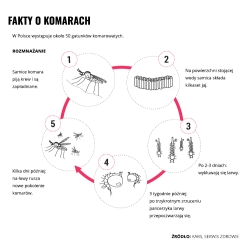 Repelent spray Mugga 9,5% DEET 75 ml