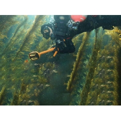 Podwodny wykrywacz metali Quest Metal Detectors Scuba Tector czarny