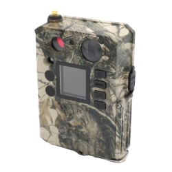 Kamera fotopułapka GSM BG310-M