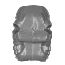 Koralik M-Tac Skull Stopper szary