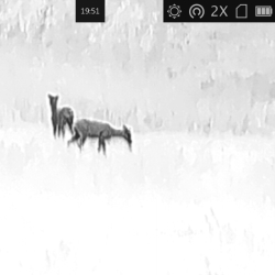 Lornetka termowizyjna termowizor HIKMICRO by HIKVISION Raptor RQ50L LRF 850 nm