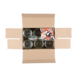 Butelka Weck Saftflasche z pokrywką, uszczelką i 2 zapinkami 290 ml 6 szt.