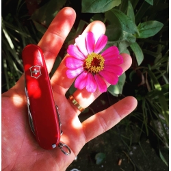 Scyzoryk Victorinox Huntsman 1.3713 15 funkcji, czerwony