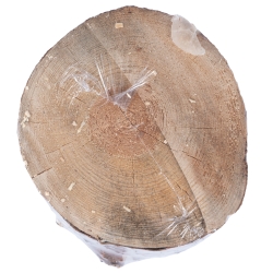 Szwedzki ogień Woodson