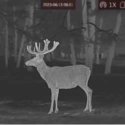 Celownik termowizyjny termowizor HIKMICRO by HIKVISION Panther PQ50L 2.0 LRF