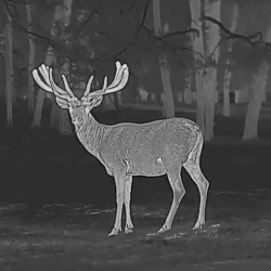 Kamera termowizyjna termowizor HIKMICRO by HIKVISION Falcon FQ50