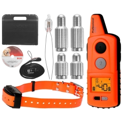 Obroża elektroniczna Dog Trace d-control professional 2000 pomarańczowa