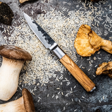 Nóż do obierania Forged Olive