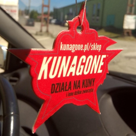 Zawieszka zapachowa Kunagone do samochodu