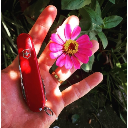Scyzoryk Victorinox Outrider 0.8513.3 czarny
