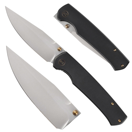 Nóż składany WE Knife Evoke WE21046-1 black