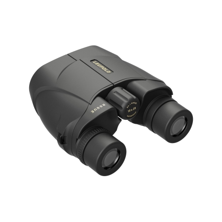 Lornetka Leupold BX-1 Rogue 10x25