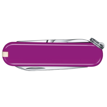 Scyzoryk Victorinox Classic 0.6223.52G fioletowy
