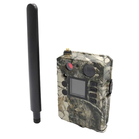 Kamera fotopułapka GSM BG310-M