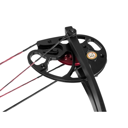 Łuk bloczkowy dla dorosłych i młodzieży  Ek Rex Quad 15-55 lb 28