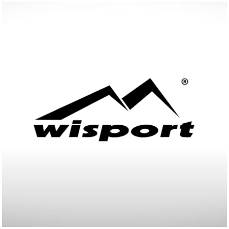 Torba biodrowa nerka Wisport Gekon oliwkowa