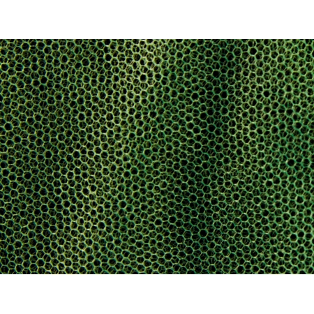 Moskitiera MFH - mała oliwkowa (0,63x2x8 m)