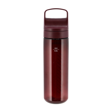 Butelka z filtrem do wody LifeStraw Go 2.0 Merlot Me Away 650 ml