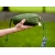Hamak Lesovik Duch treetop green