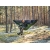 Hamak Lesovik DRAKA treetop green