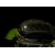 Lampa kempingowa Fenix CL26R zielona