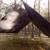 Tarp TigerWood 3 m x 3 m czarny