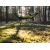 Hamak Lesovik DRAKA treetop green