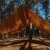 Tarp TigerWood 3 m x 4 m coyote