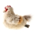 Maskotka Siedząca Kura Semo  23 cm