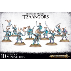 Tzeentch Arcanites Tzaangor Warhammer Age of Sigmar